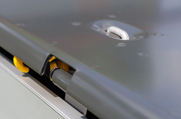 Cabreta tribenne, bords arrondis